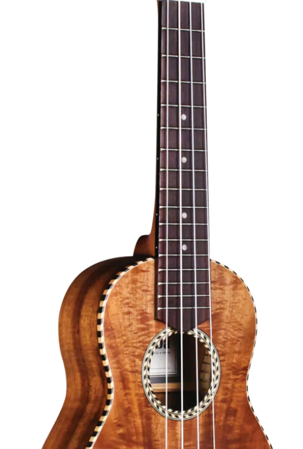 25T-CE - Cordoba Guitars